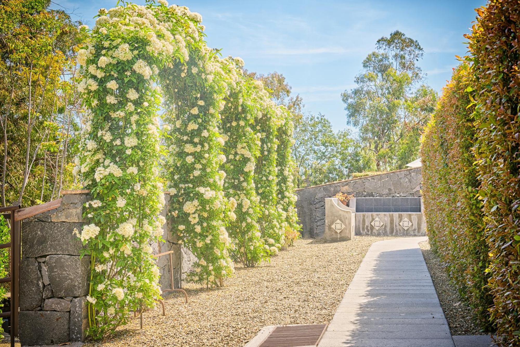 אפרטהוטל סנטה ונרינה Il Casale Di Monacella מראה חיצוני תמונה